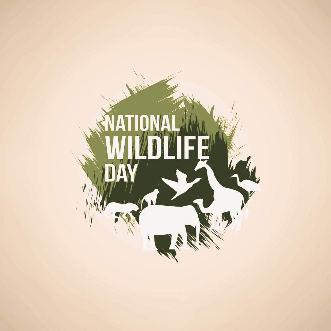 National Animal Day