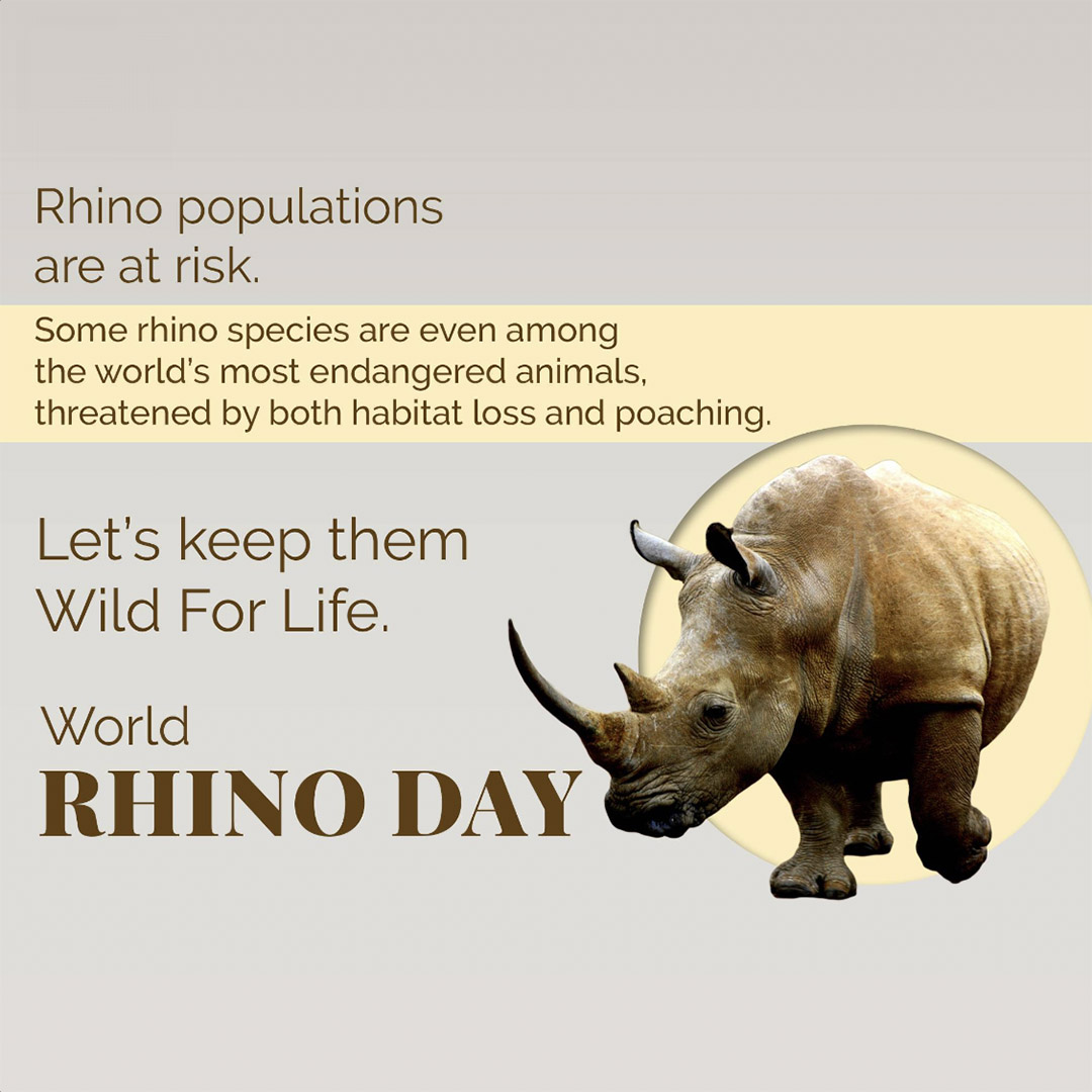 World Rhino Day