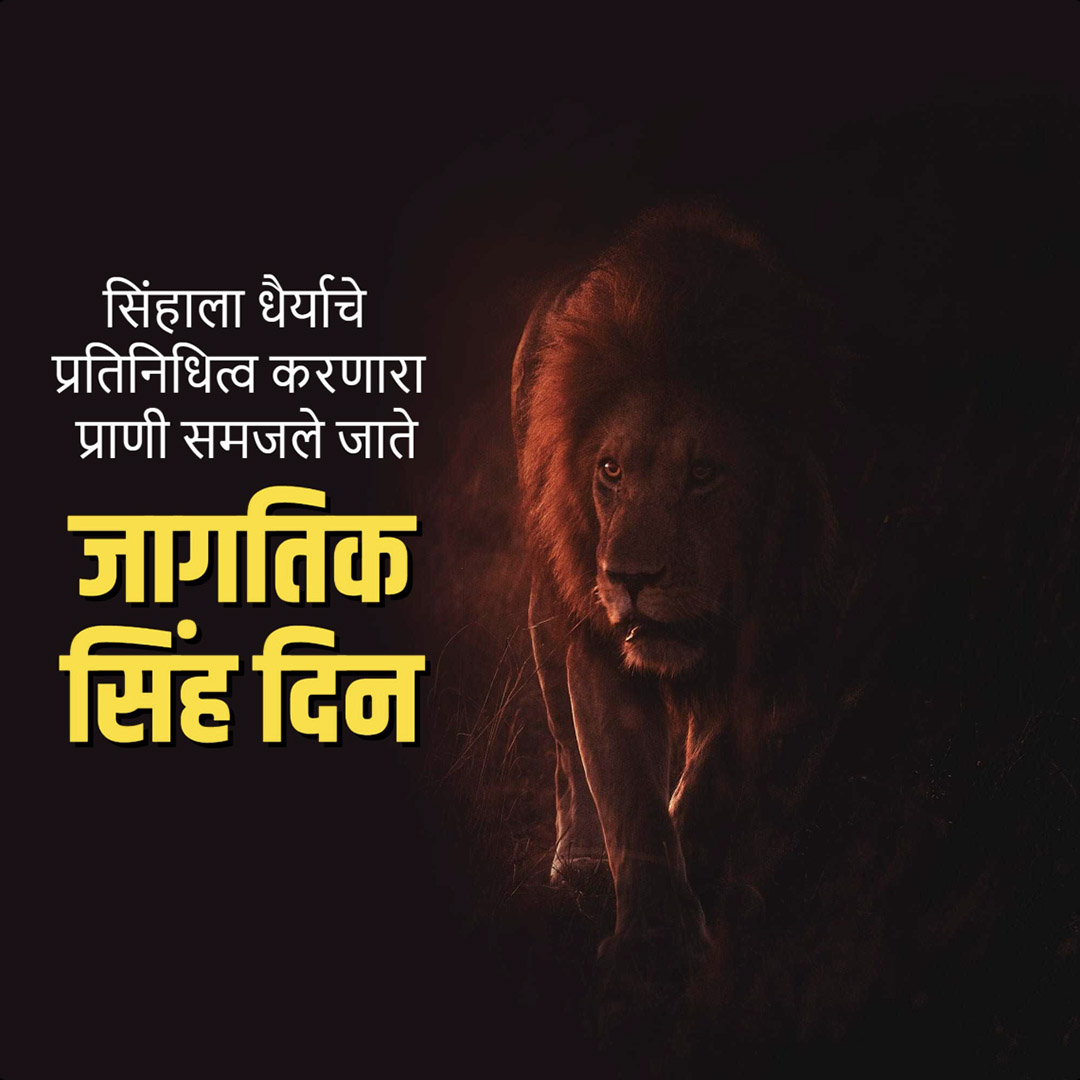 World Lion Day