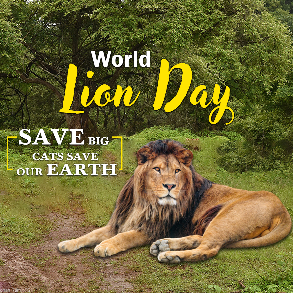World Lion Day