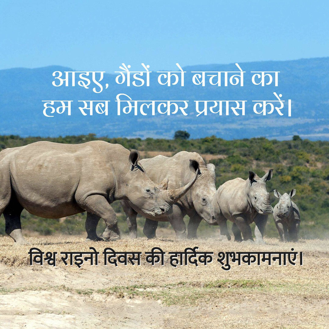 World Rhino Day