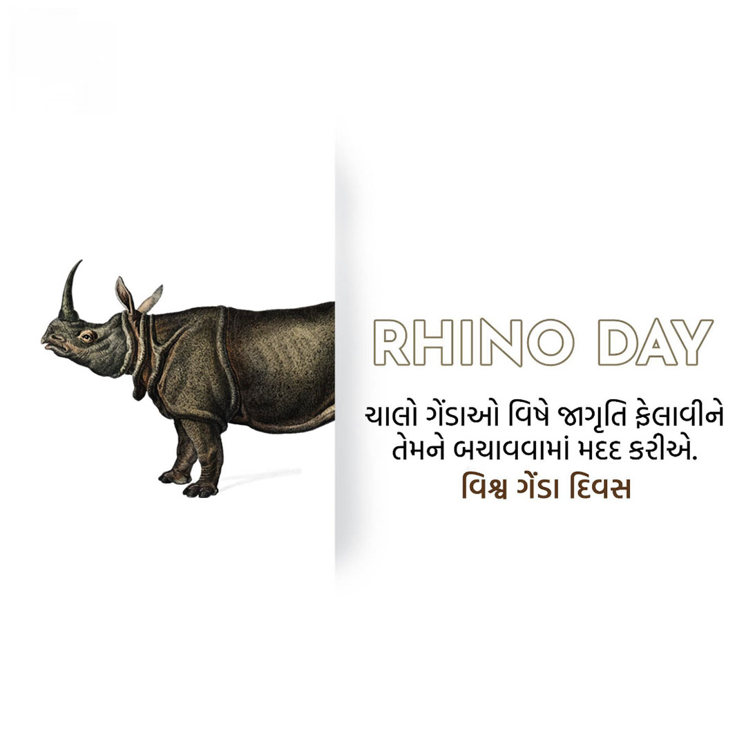 World Rhino Day
