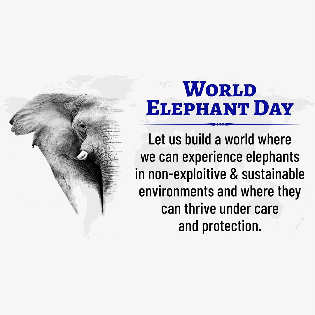 World Elephant Day