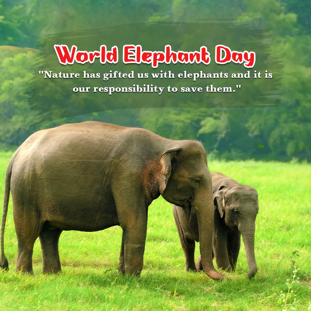 World Elephant Day