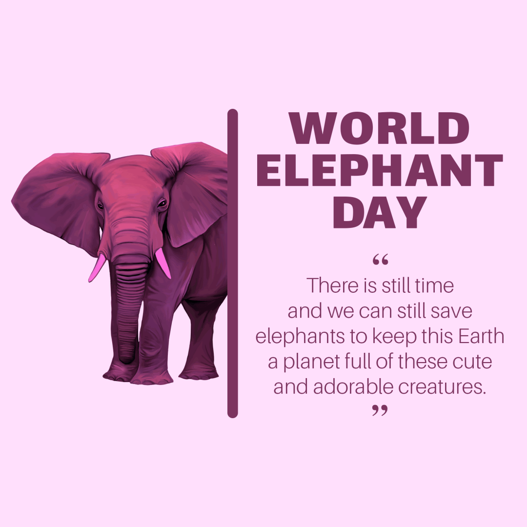 World Elephant Day