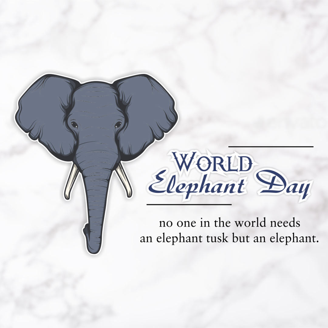World Elephant Day