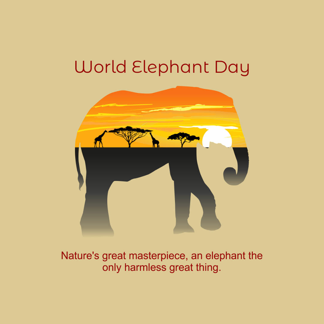 World Elephant Day
