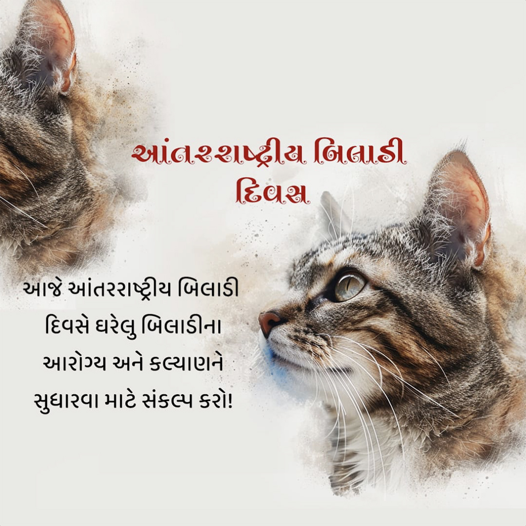 World Cat Day