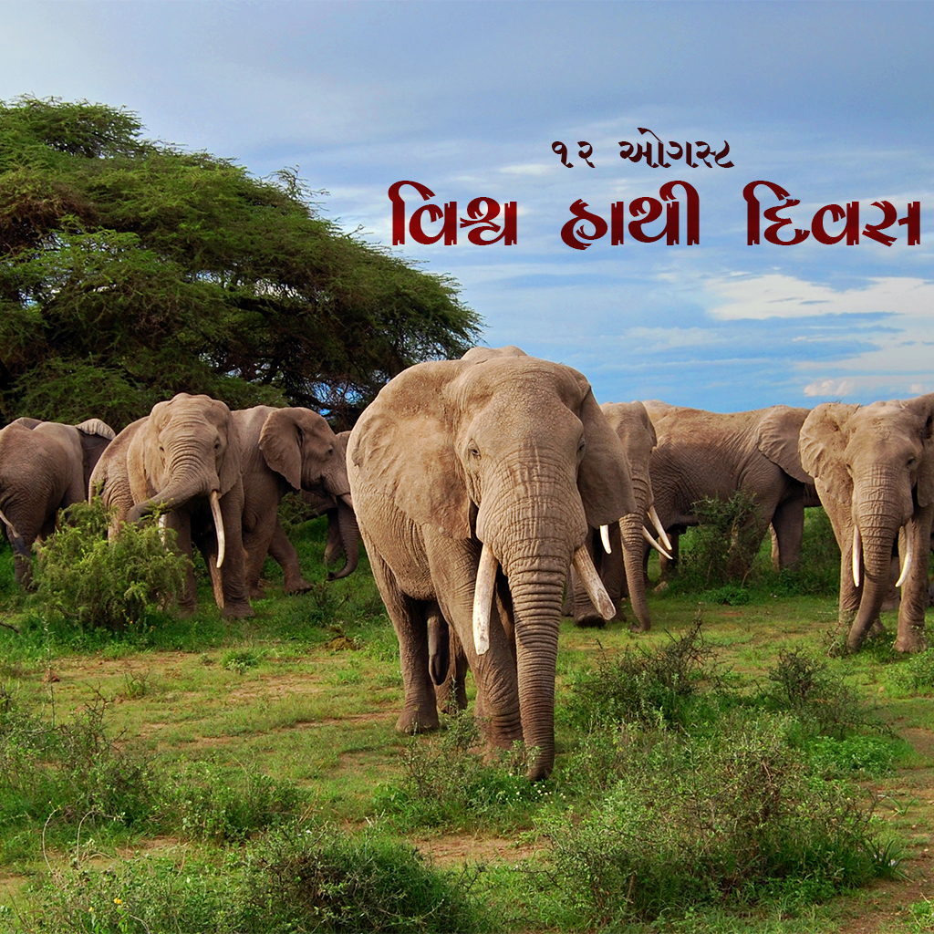 World Elephant Day
