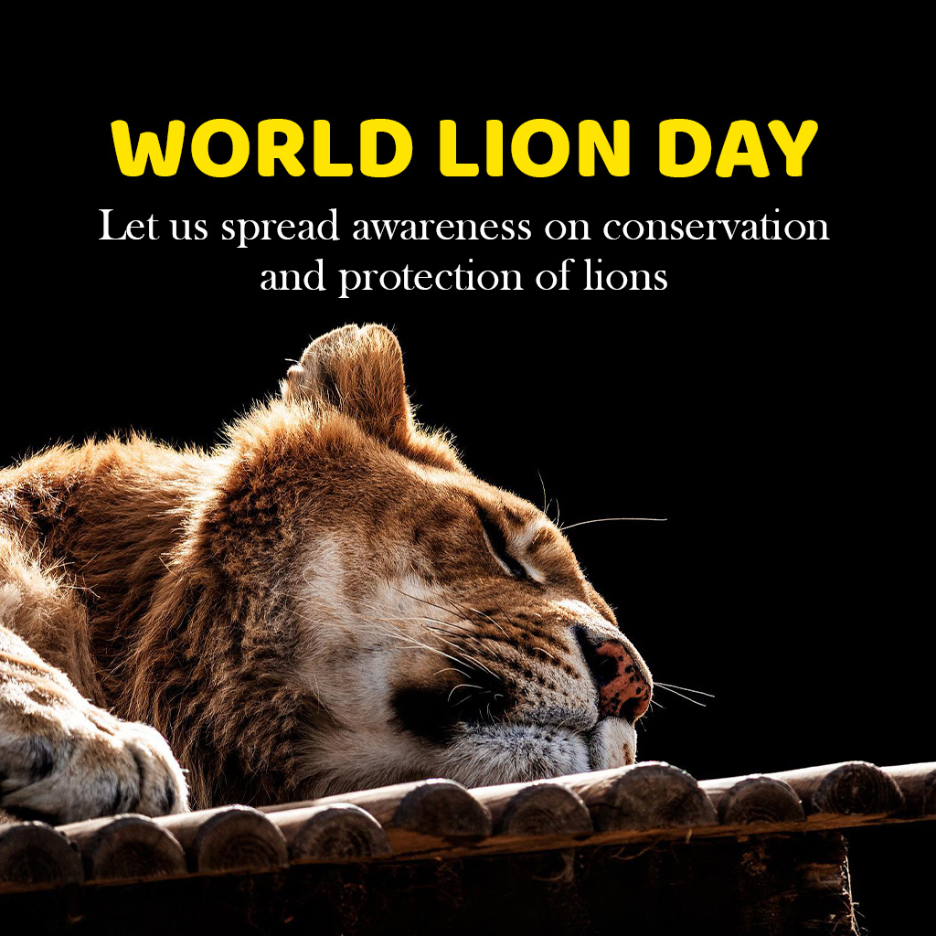 World Lion Day