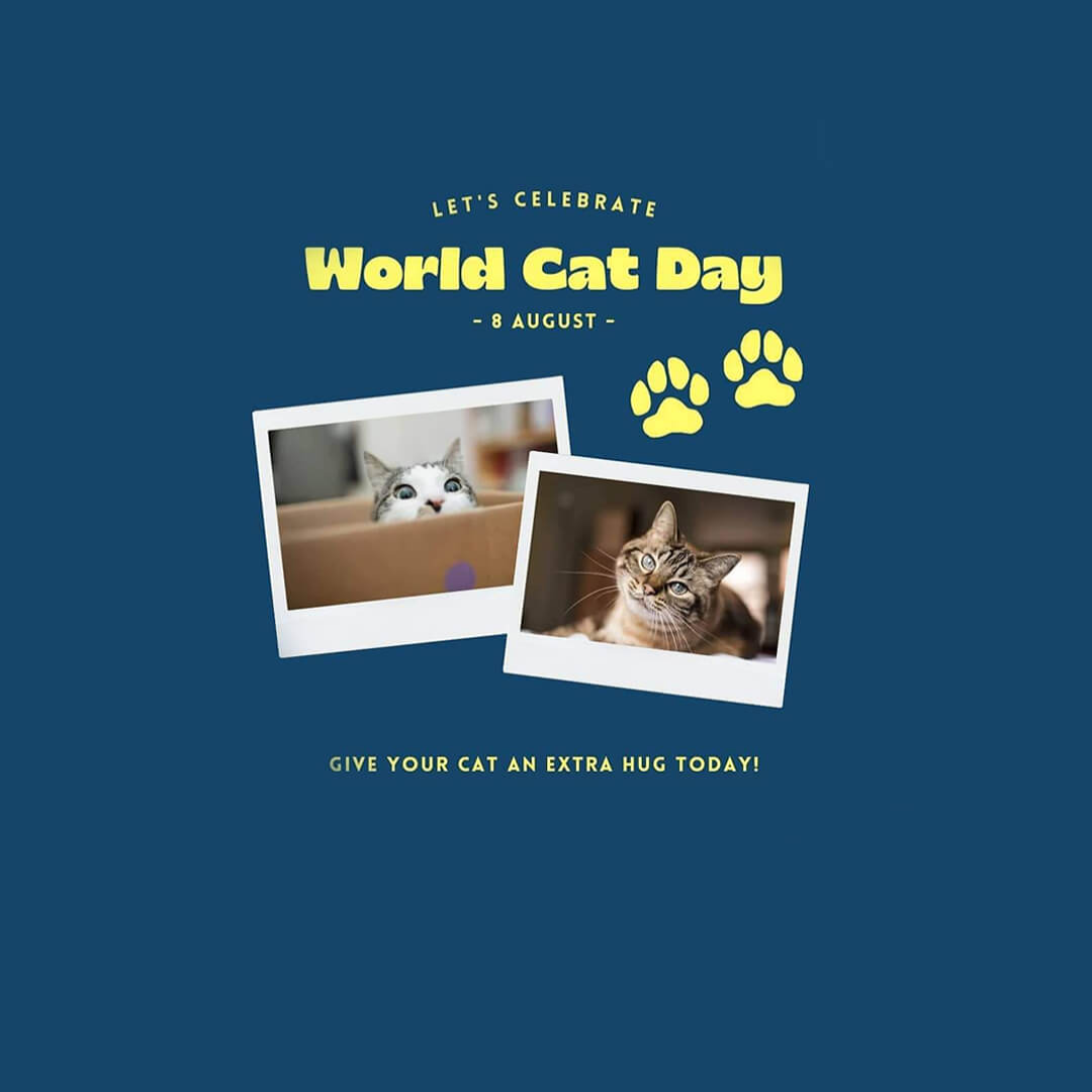 World Cat Day
