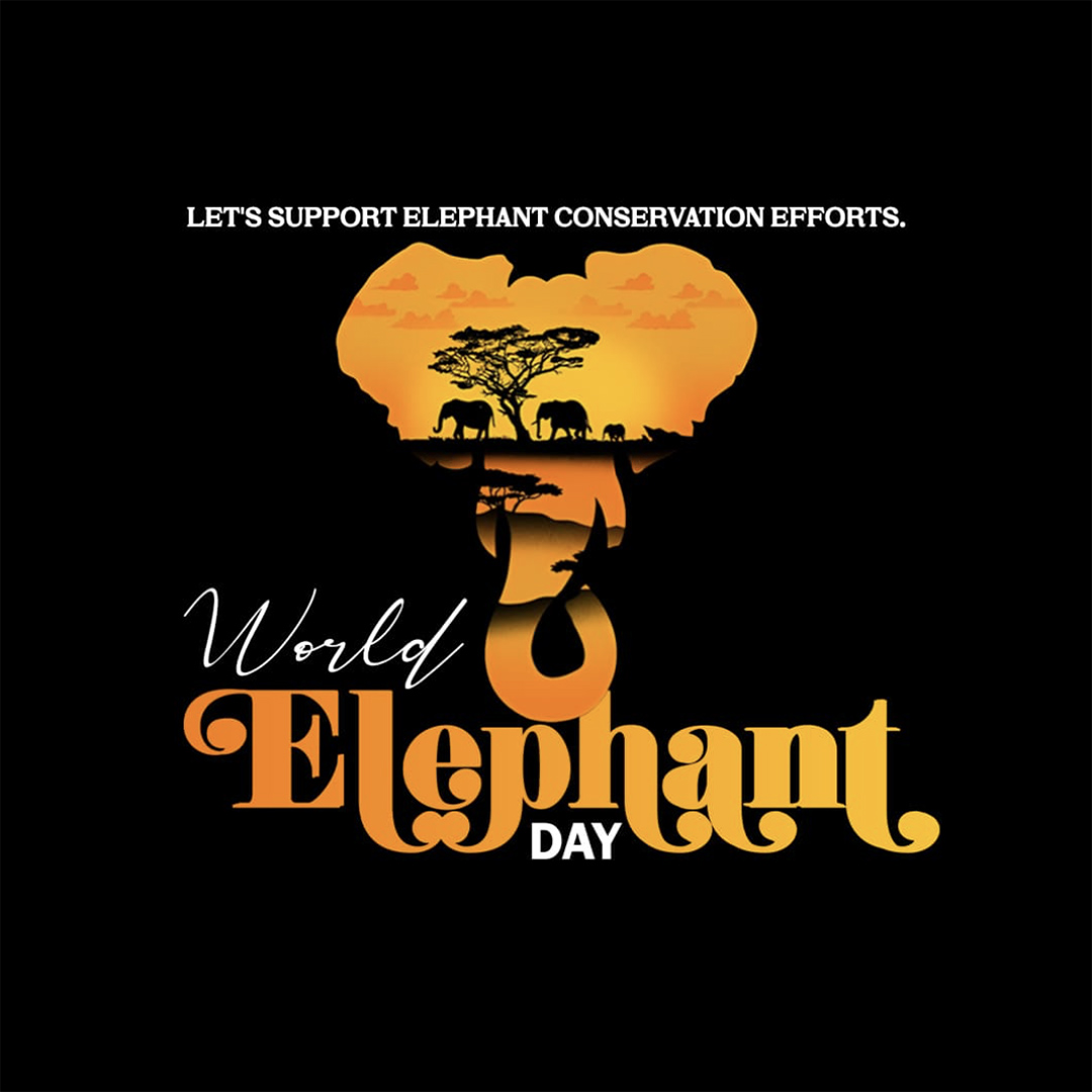World Elephant Day