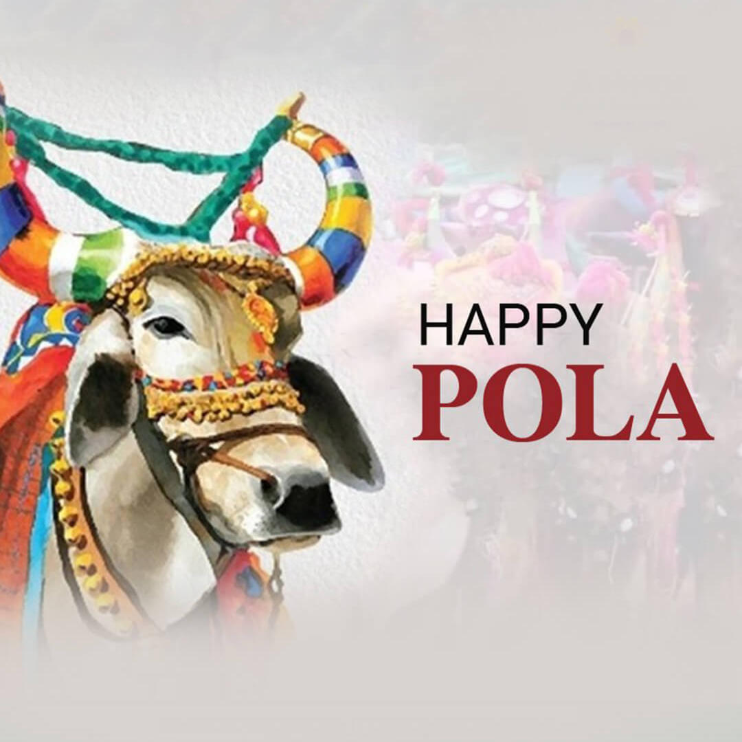 Bail Pola