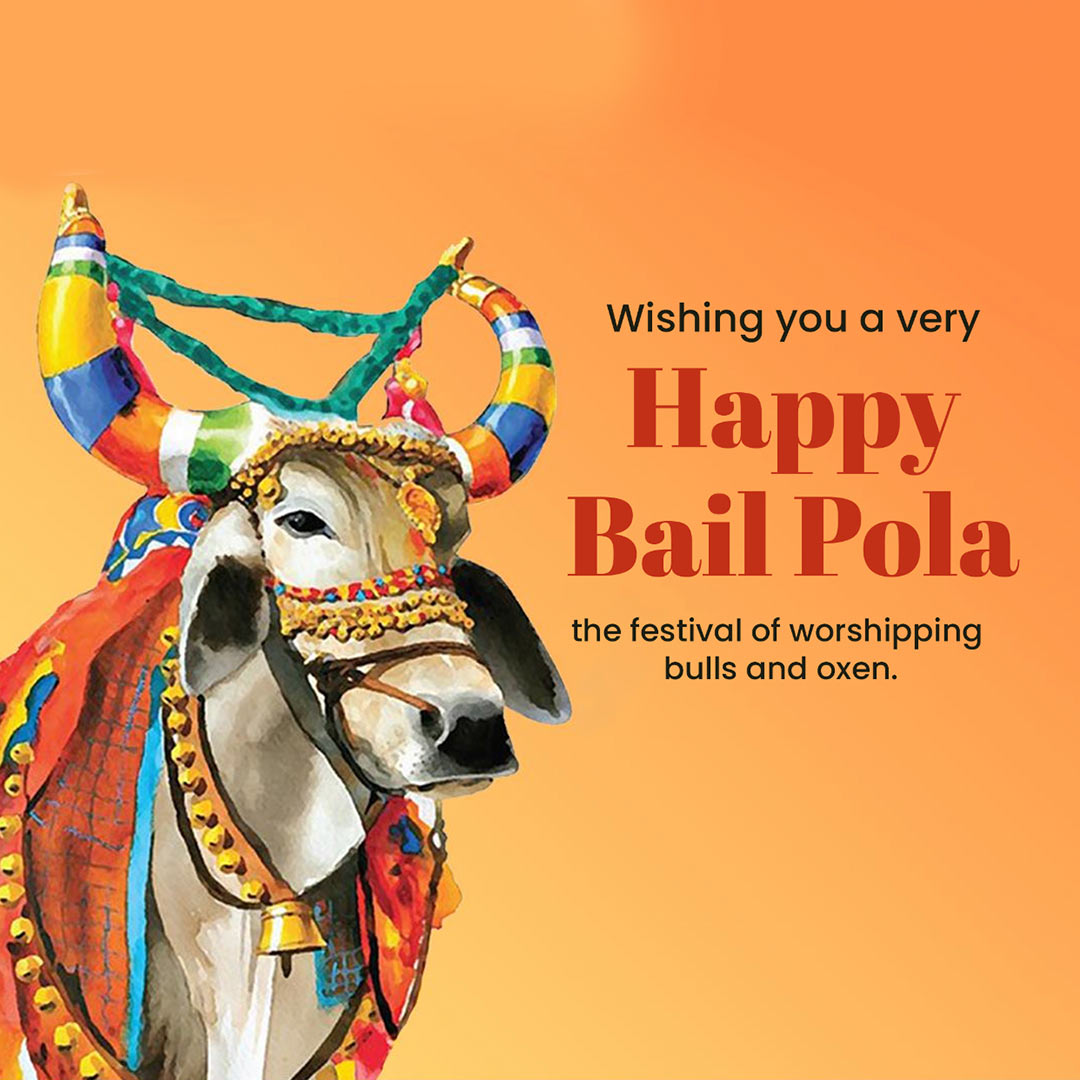 Bail Pola