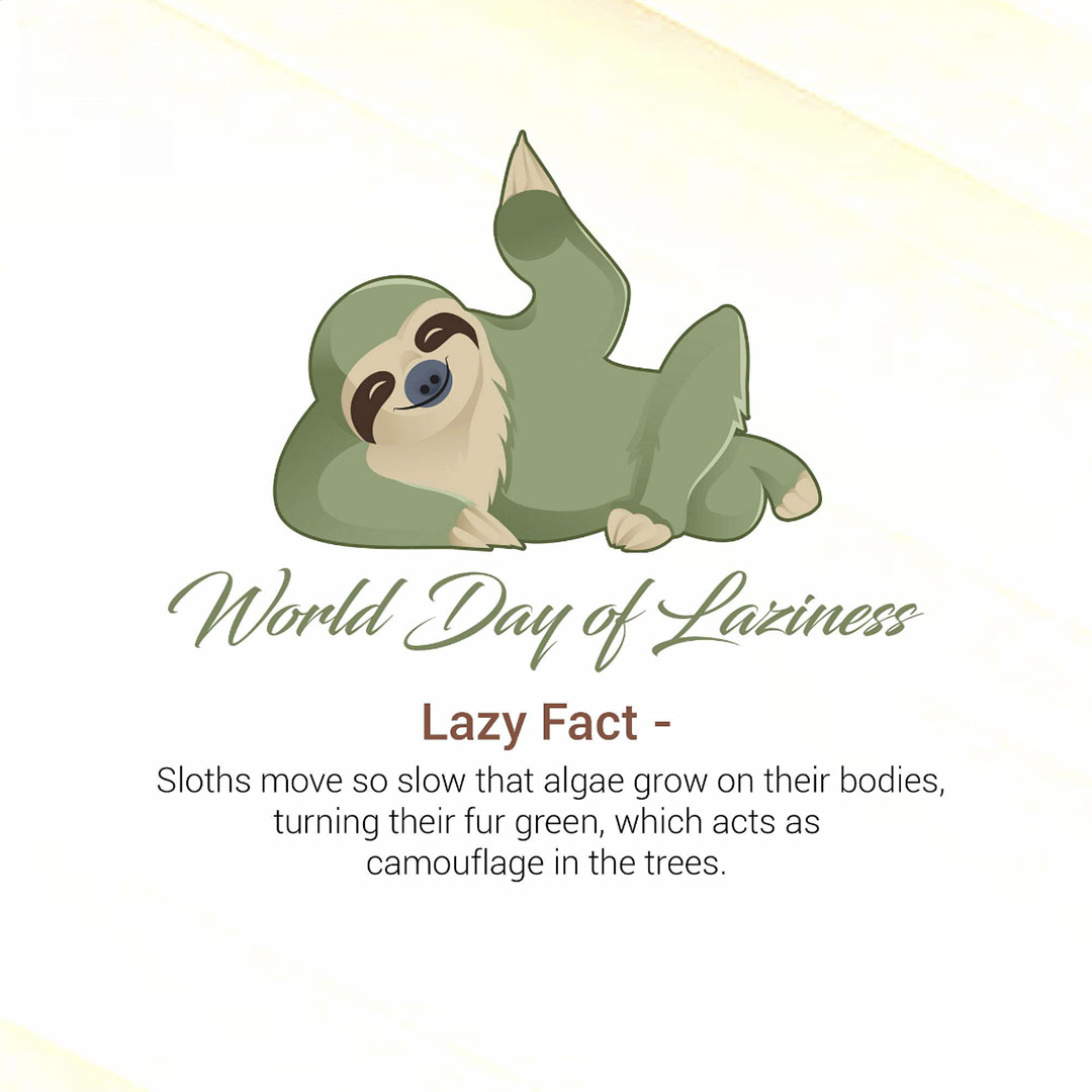 Day Of Laziness