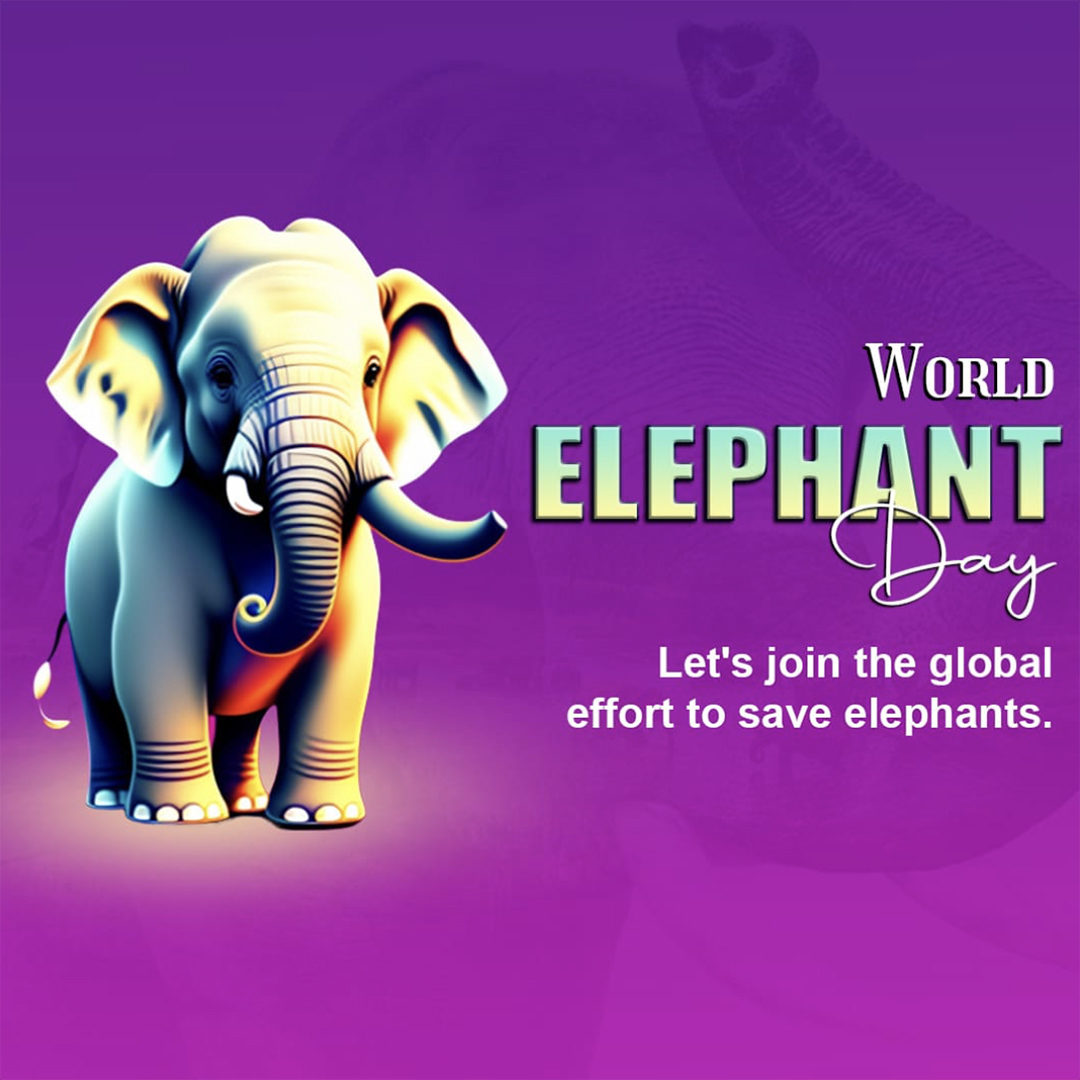 World Elephant Day