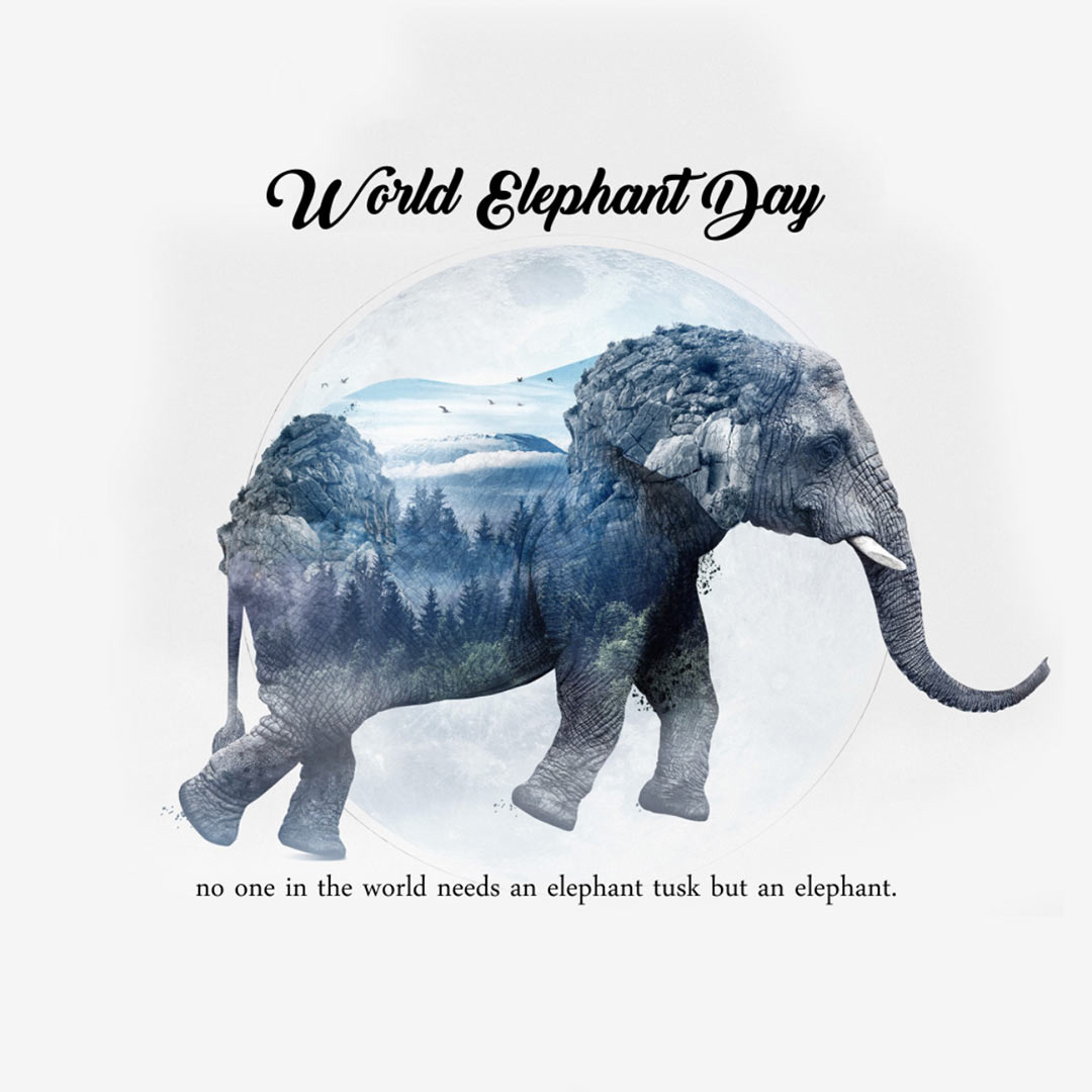 World Elephant Day