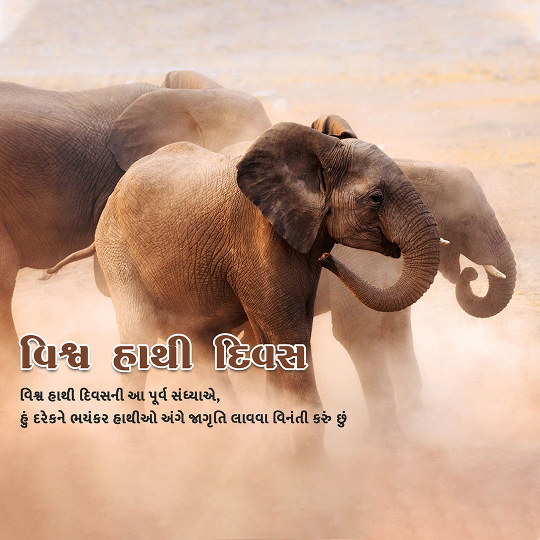 World Elephant Day
