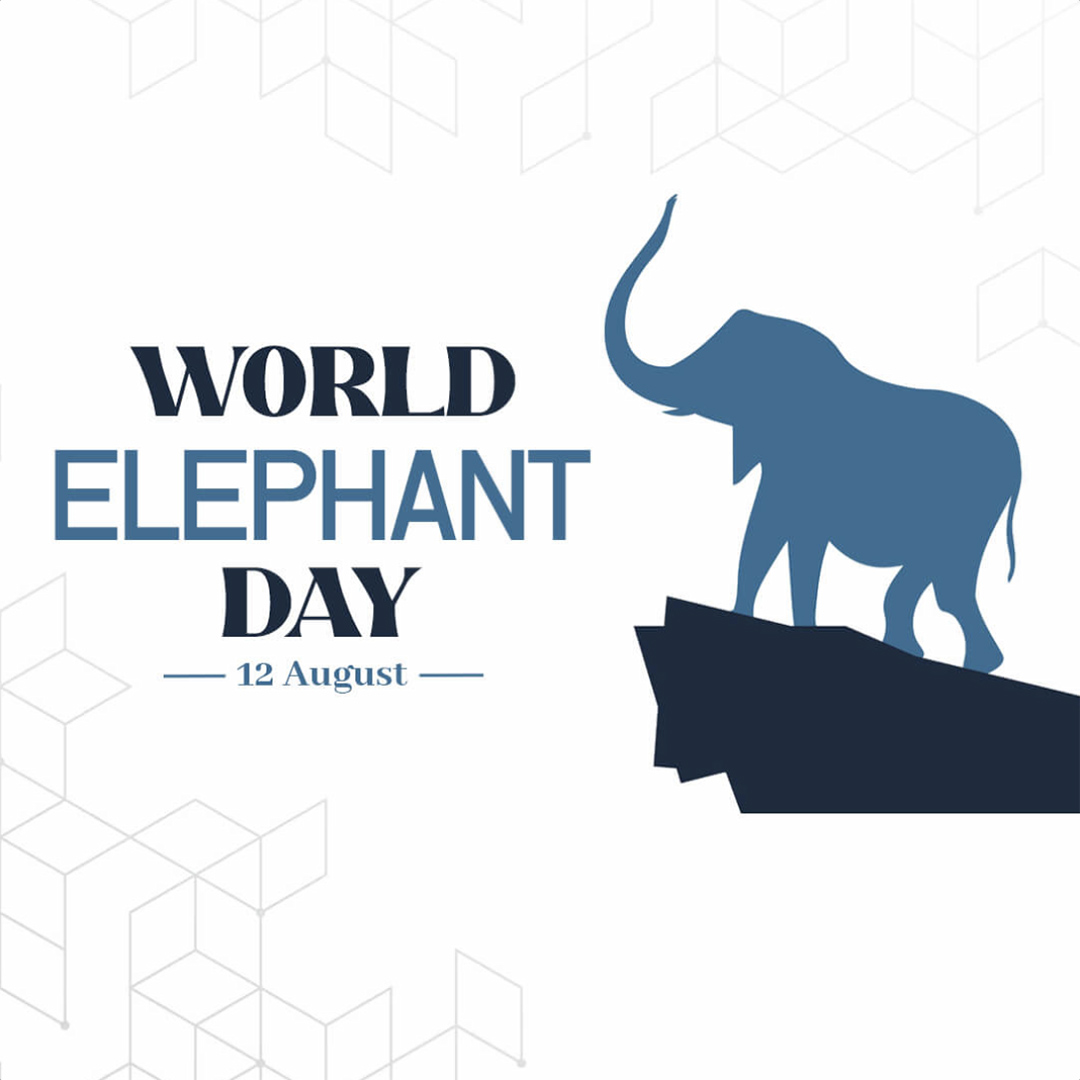 World Elephant Day