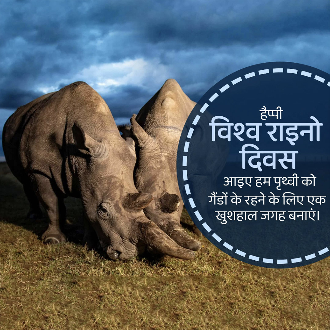 World Rhino Day