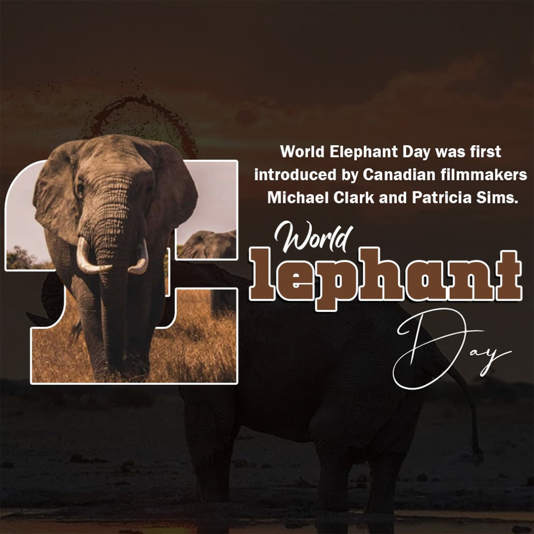 World Elephant Day