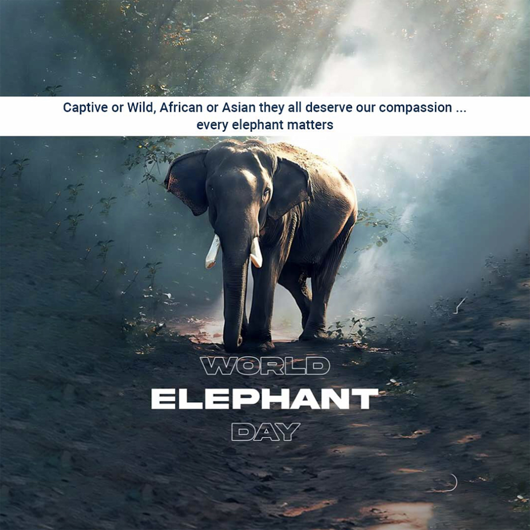 World Elephant Day