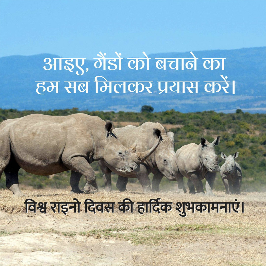 World Rhino Day
