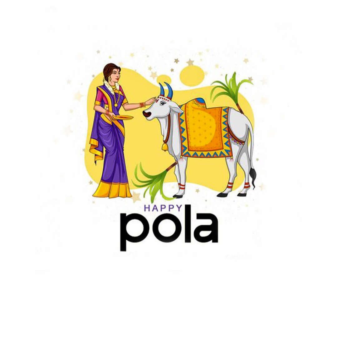 Bail Pola