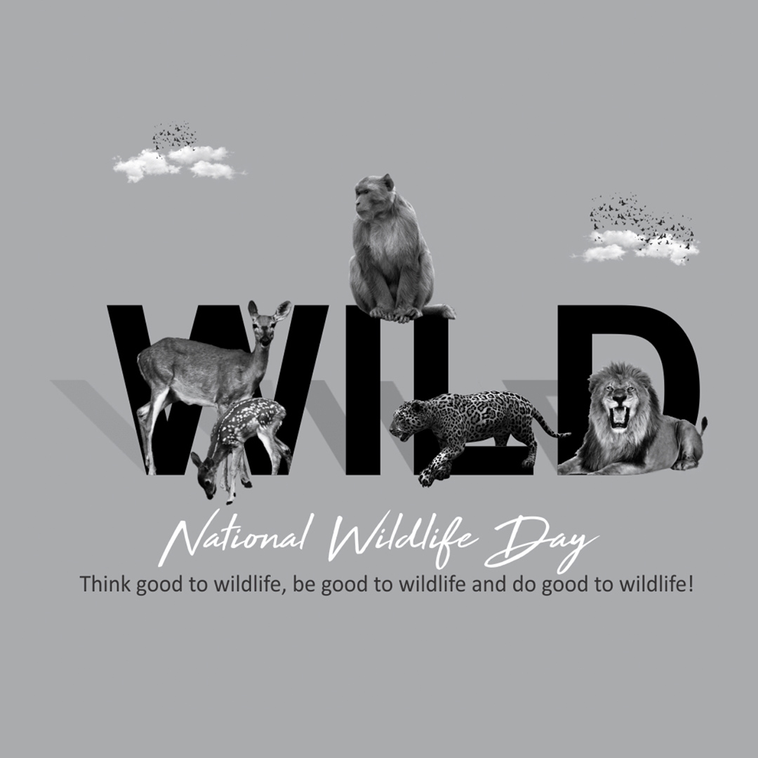 National Animal Day