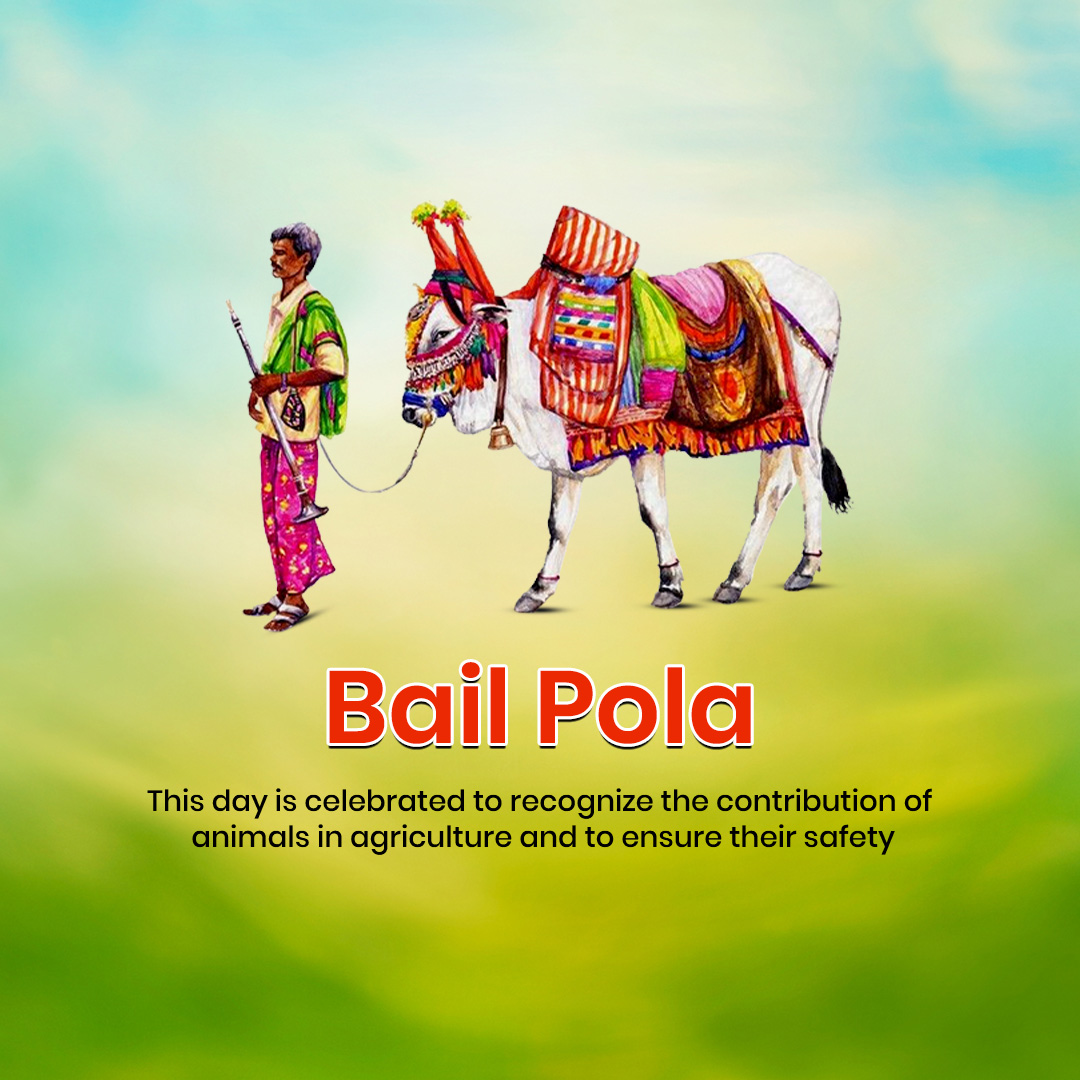 Bail Pola