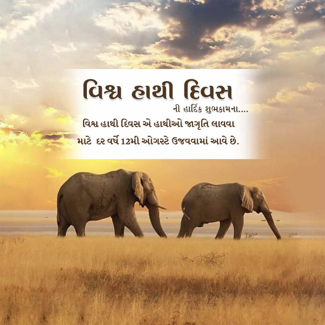 World Elephant Day
