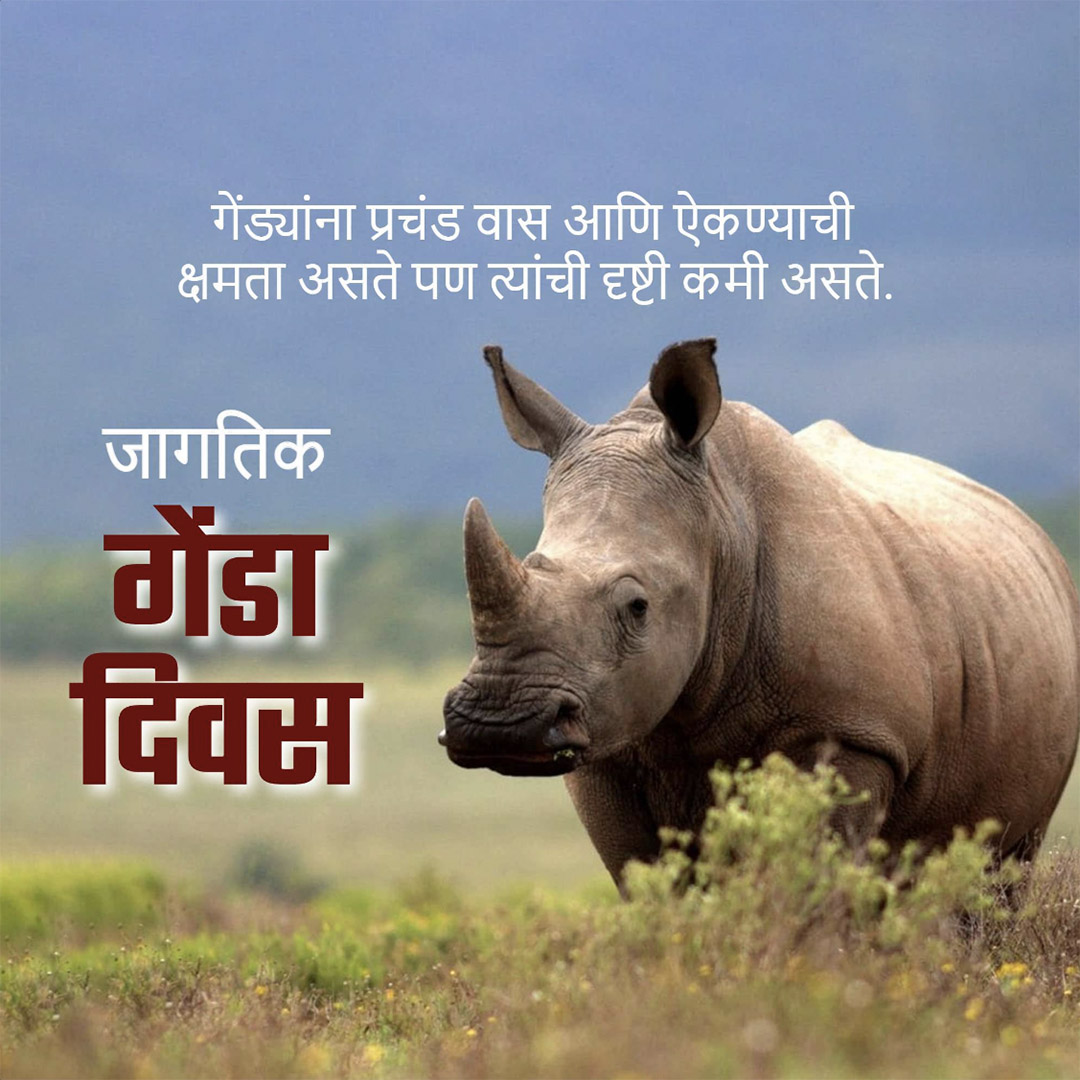 World Rhino Day