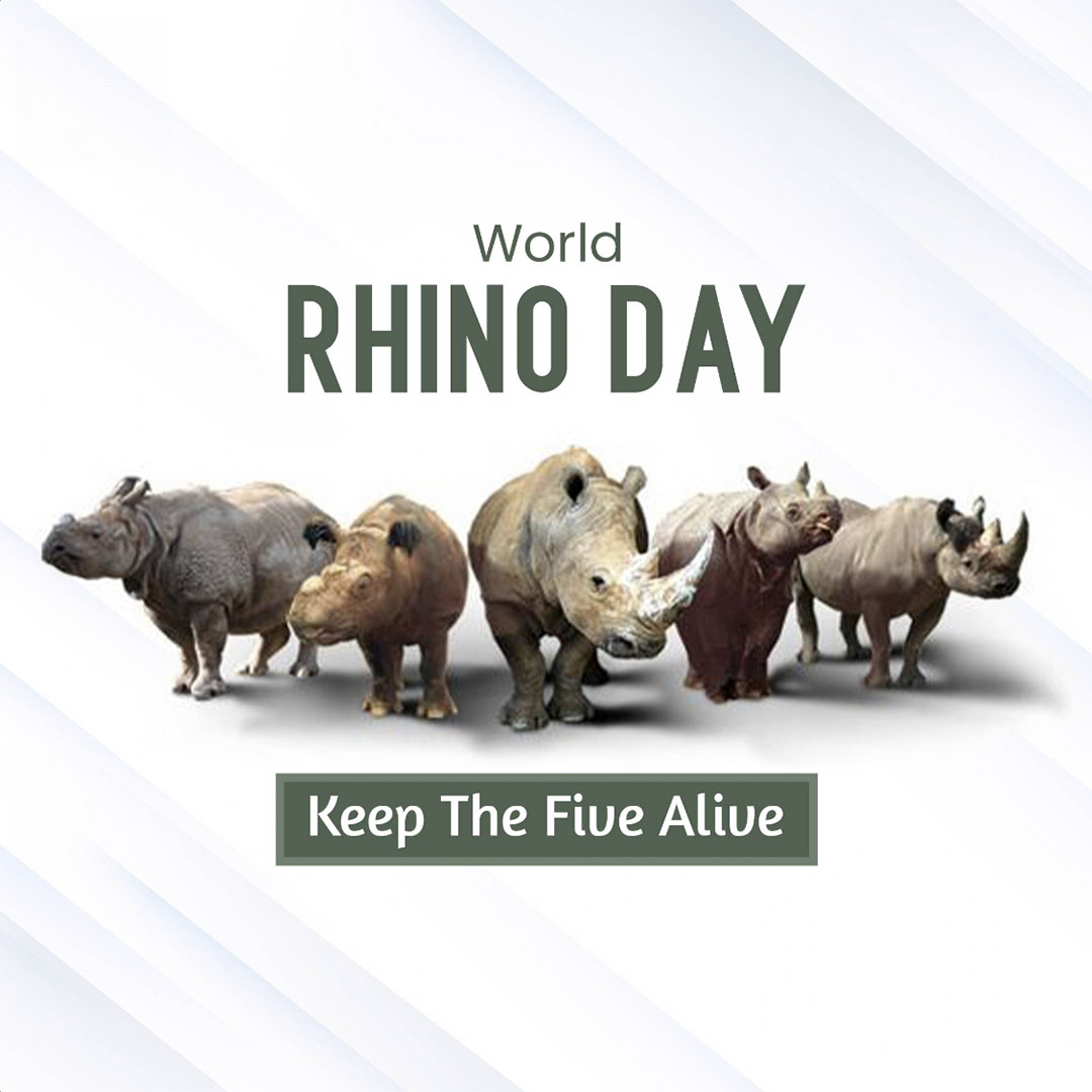 World Rhino Day