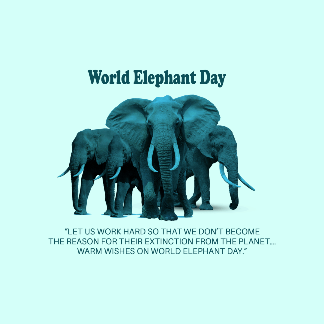 World Elephant Day