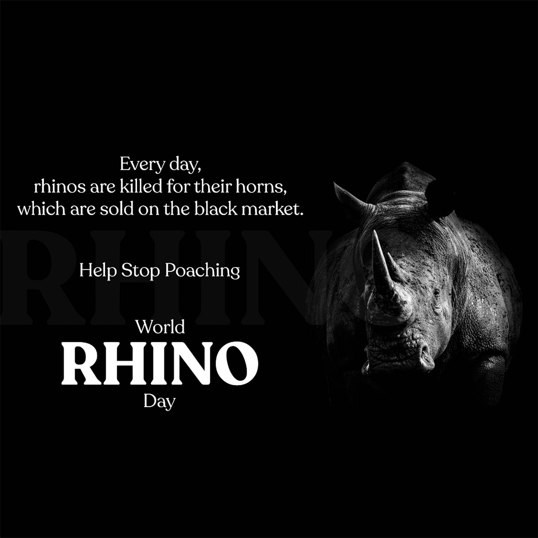World Rhino Day