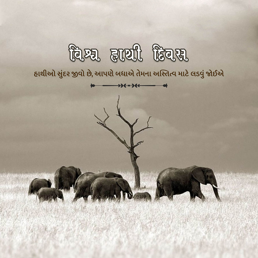 World Elephant Day
