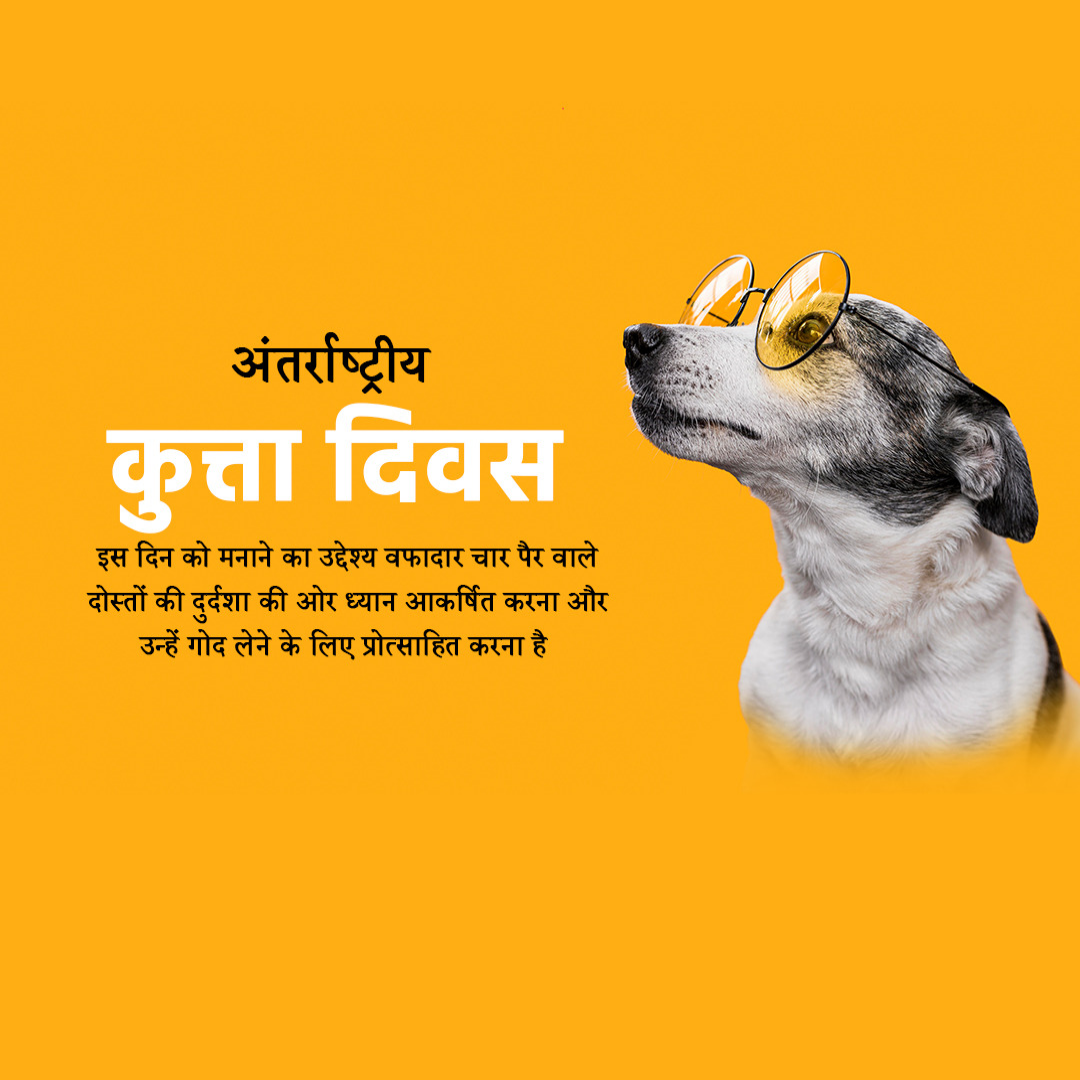 International Dog Day