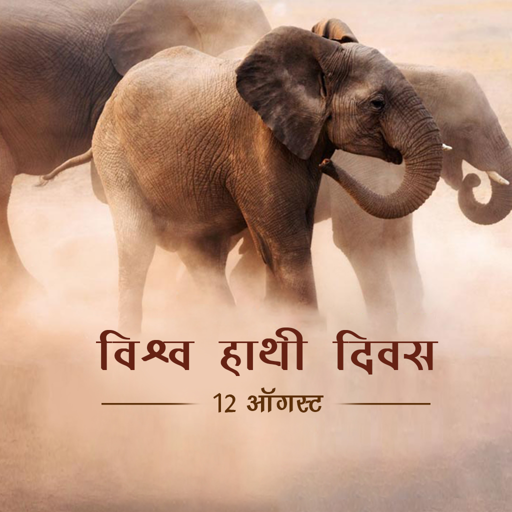 World Elephant Day