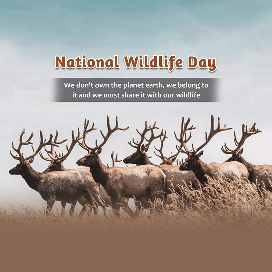 National Animal Day