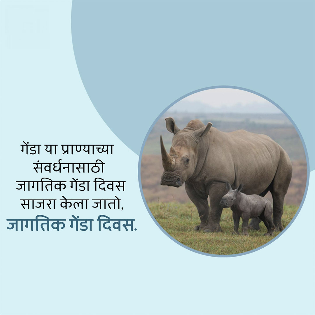 World Rhino Day