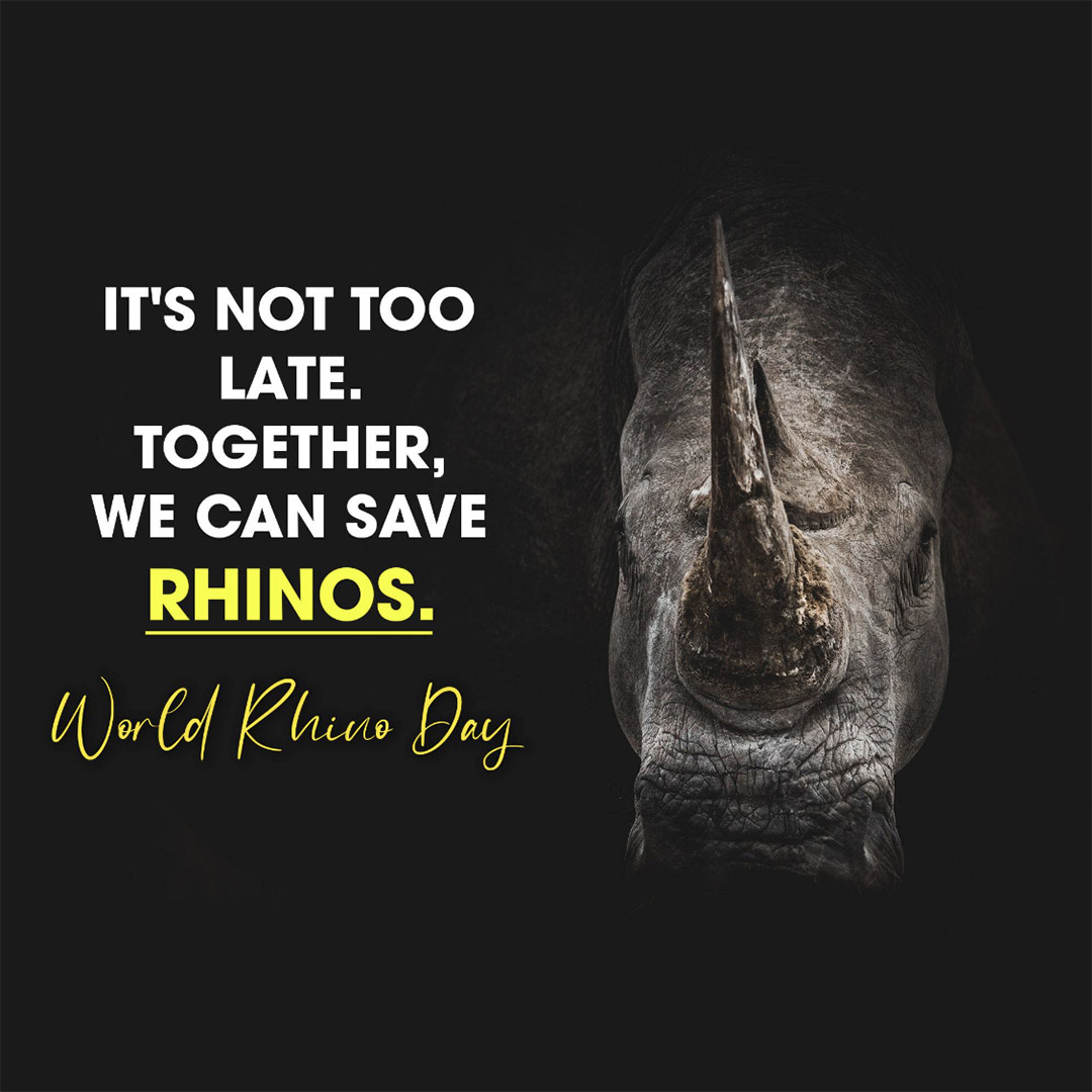 World Rhino Day