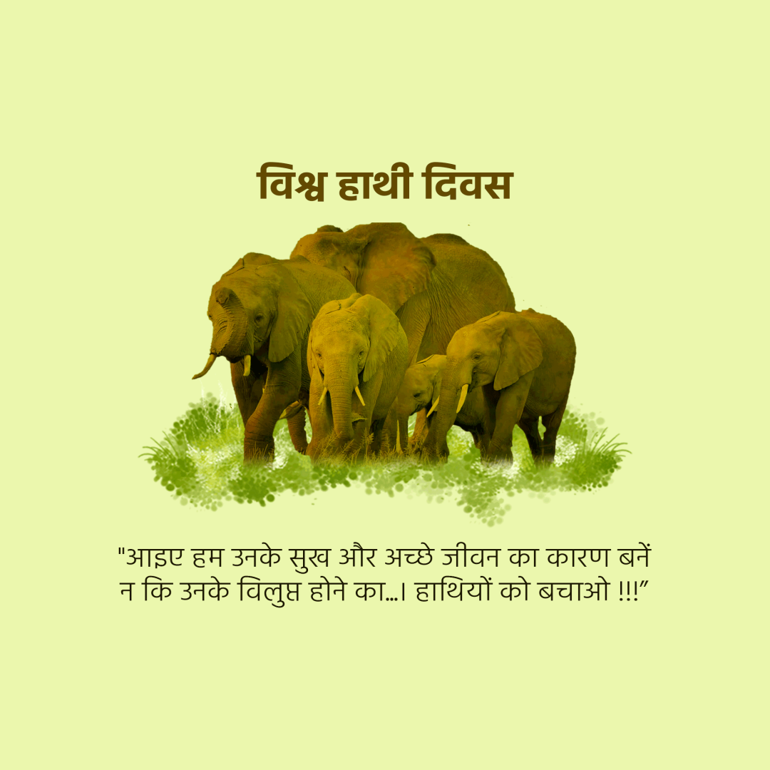 World Elephant Day