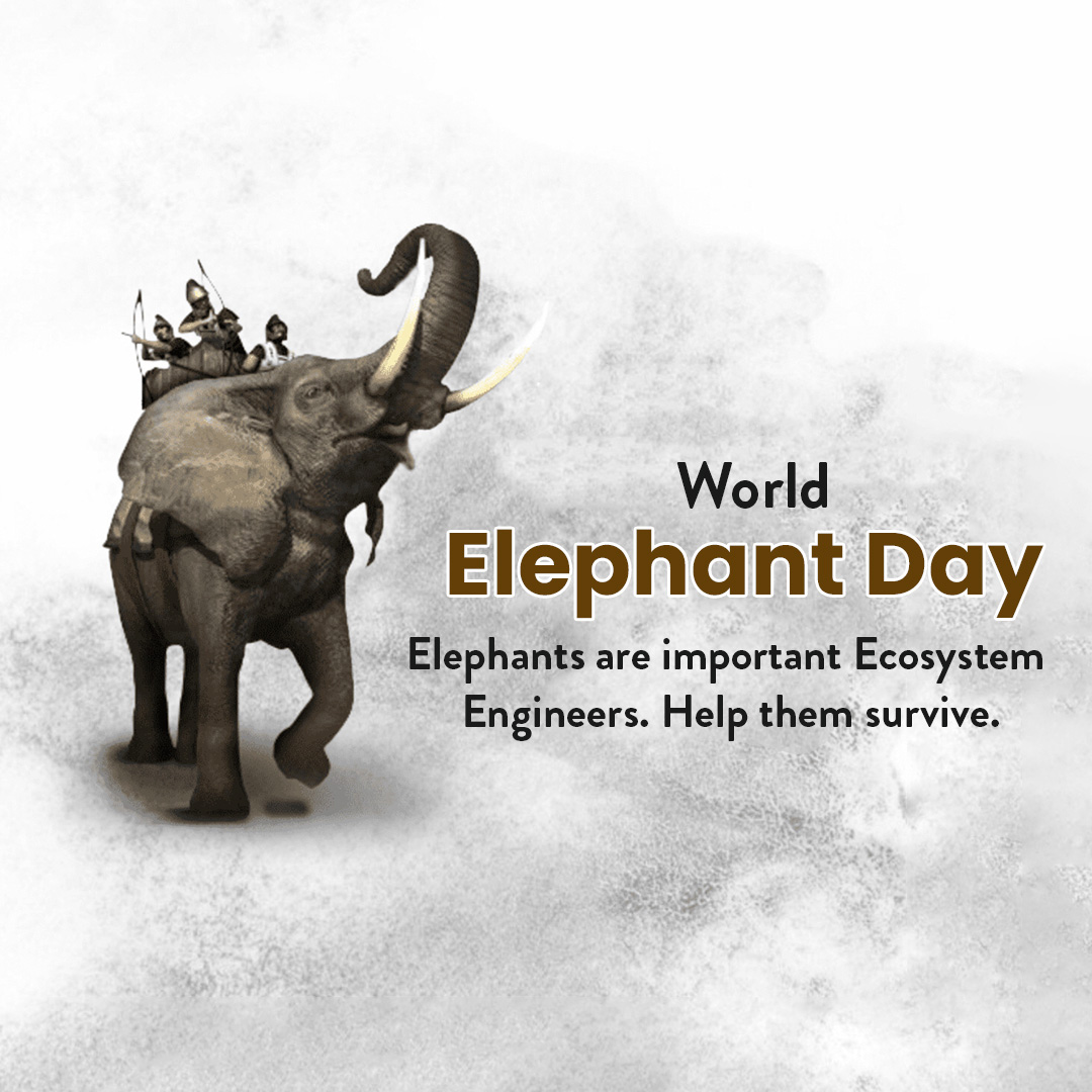 World Elephant Day