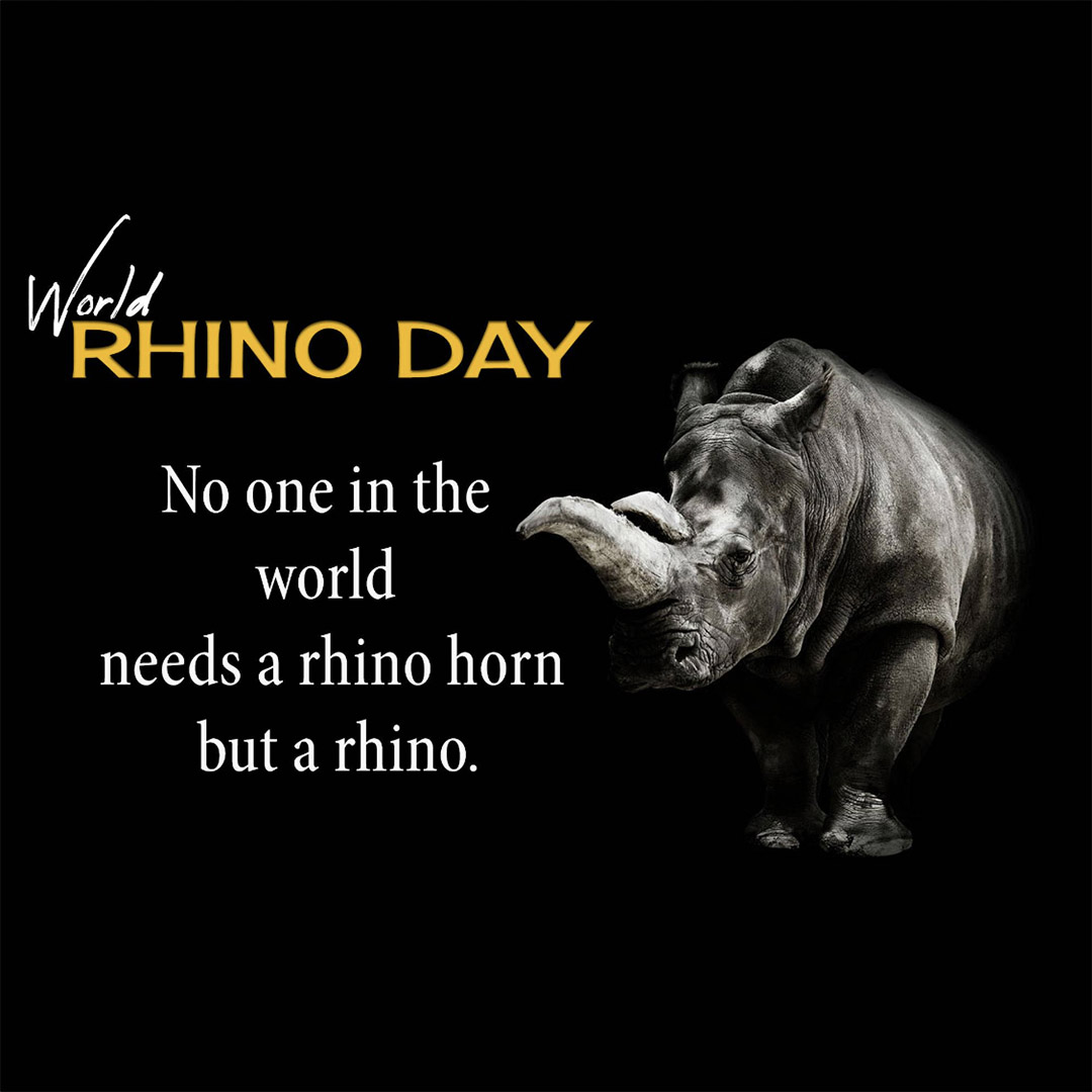 World Rhino Day