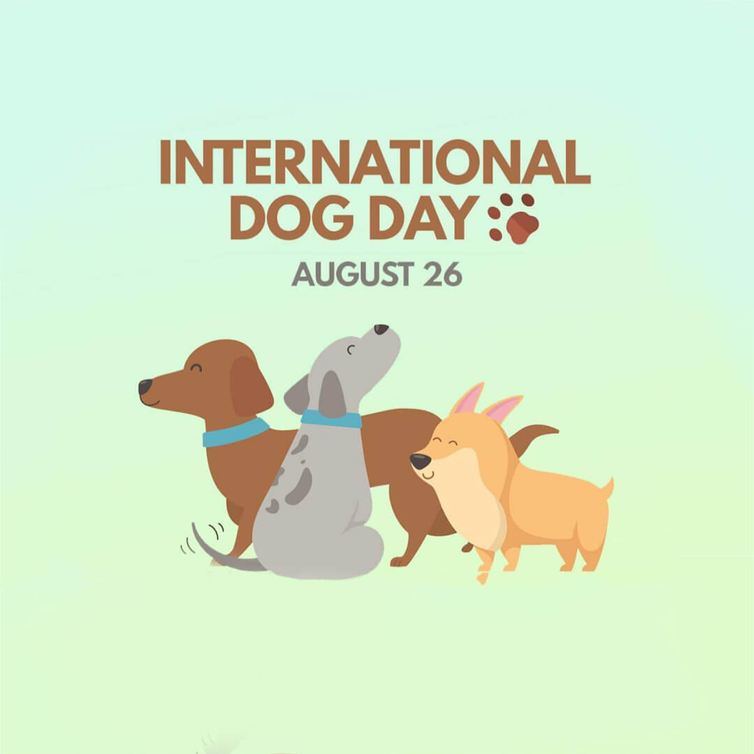 International Dog Day
