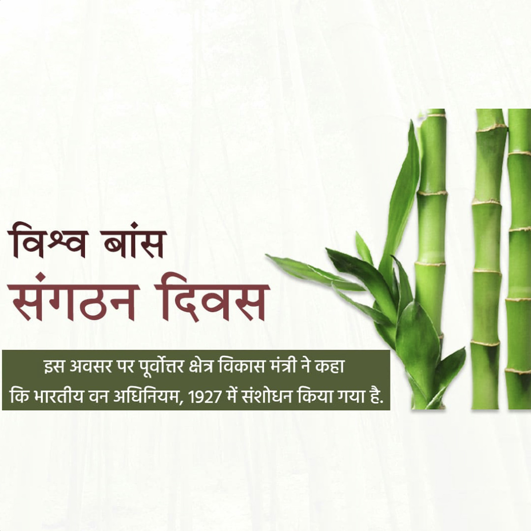 World Bamboo Day