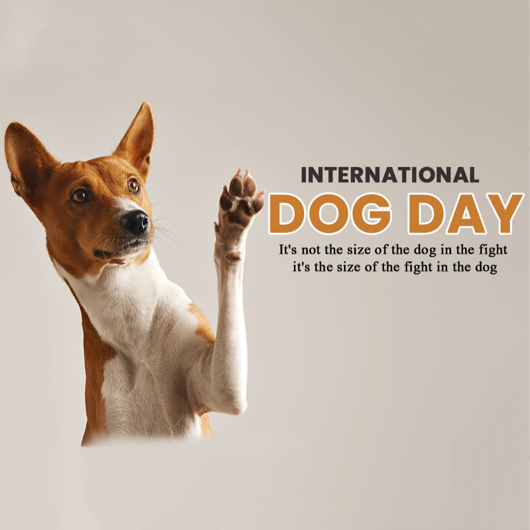 International Dog Day