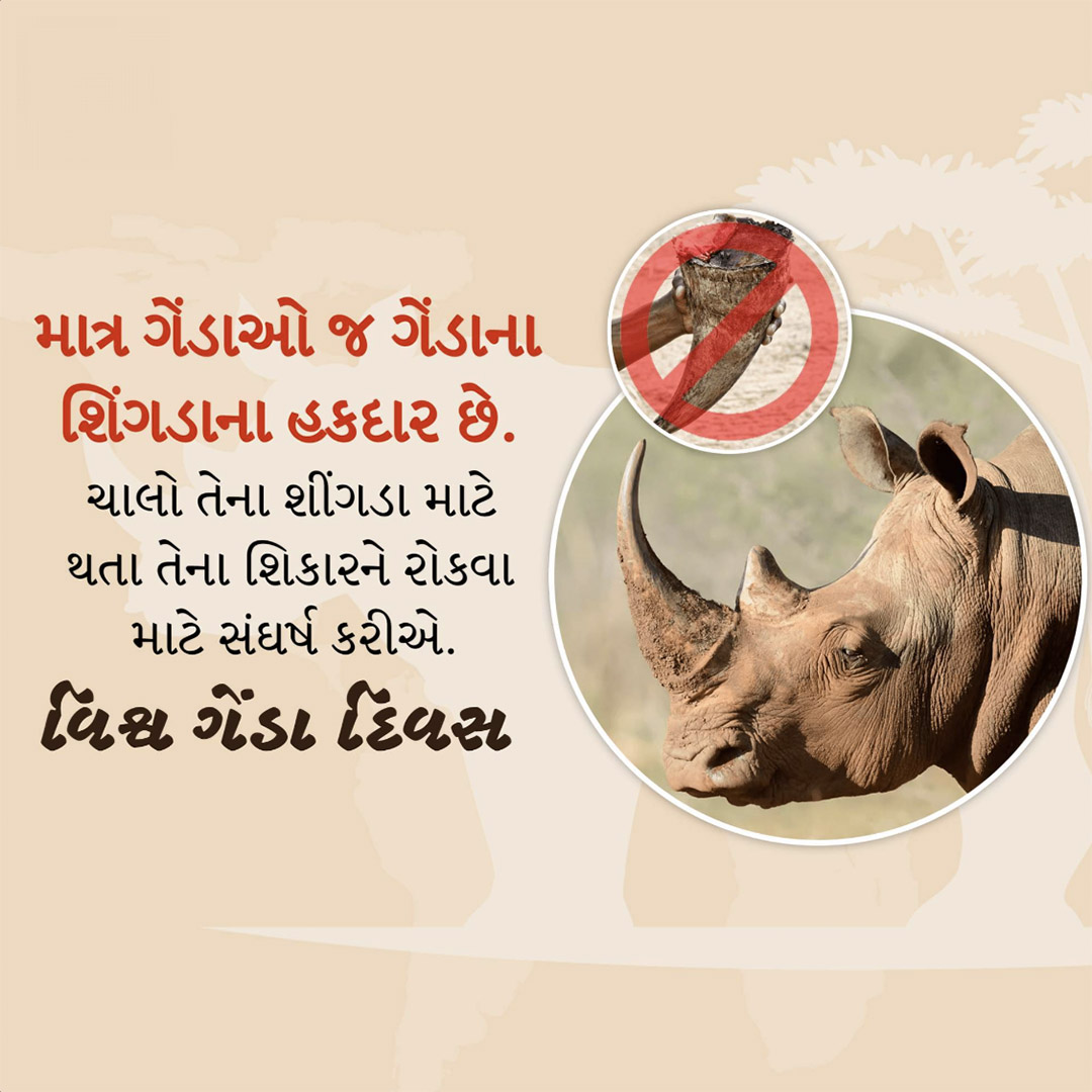 World Rhino Day