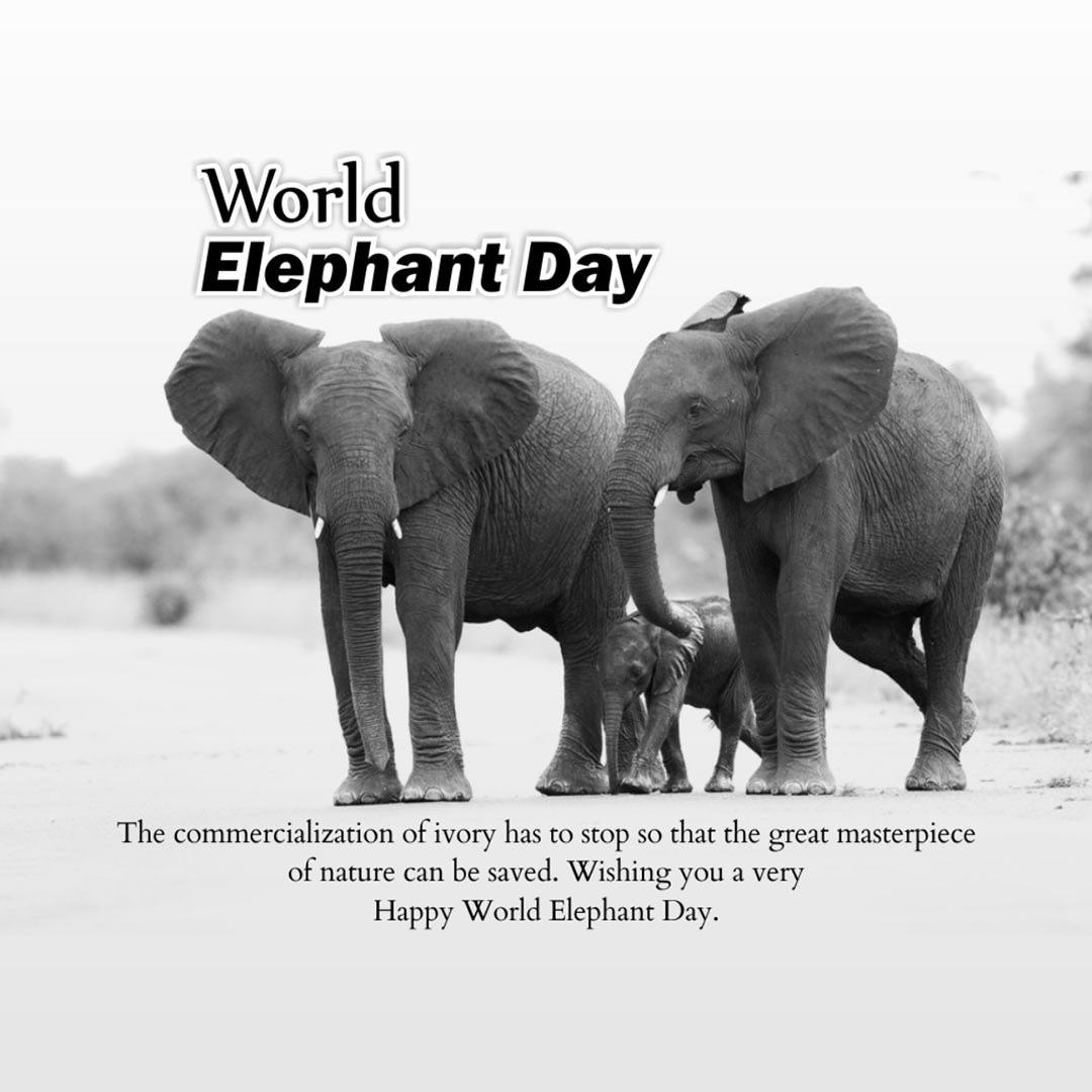 World Elephant Day