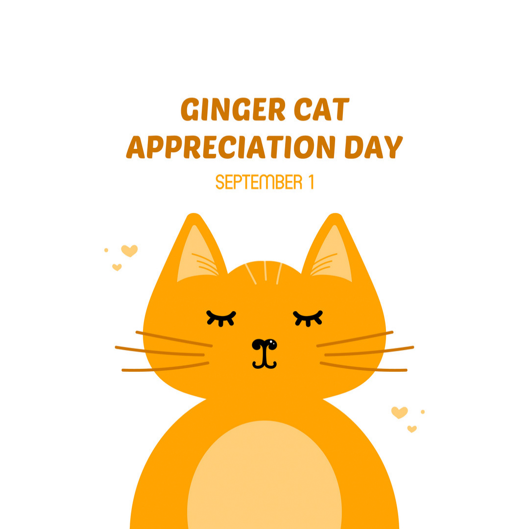 Ginger Cat Appreciation Day